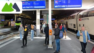 Switching trains in Switzerland explained by frequent traveler [upl. by Onirefes407]