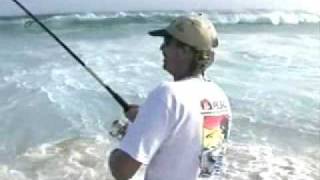 Klassen Surf amp Shore Fishing Roosterfish [upl. by Nagaem]