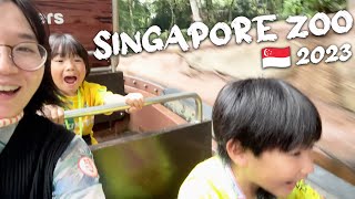 シンガポール動物園に行ってきた🇸🇬 Singapore Zoo 2023 シンガポール Singapore 20233 [upl. by Yseulta649]