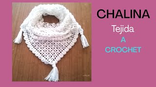 CHALINA tejido a crochet ideal para principiantes [upl. by Ynnaffit]