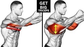 Triceps Workout to Build Big Arm [upl. by Bor]