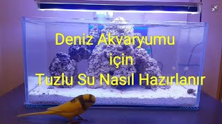 Deniz Akvaryumu için Tuzlu Su Nasıl Hazırlanır Refraktometre Kullanımı [upl. by Aremihc]