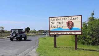 Assateague Island National Seashore Oversand Vehicle Zone [upl. by Cleres]