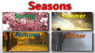 Seasons  Seasons of Change A Journey through Natures Phases [upl. by Gizela]