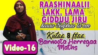 16 Barnoota Herrega kutaa 8ffaa Raashinaalii lakk lama jidduu jiru karaa salphaa taeen maths [upl. by Southard555]