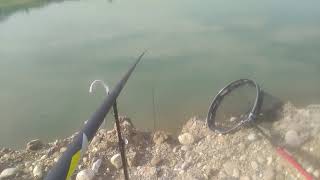 CON LA ROUBAISIENNE A RATTOPESCA CONOSCIUTA ANCHE COME MARGIN FISHING [upl. by Gurias]