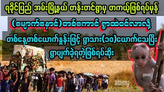 ရခိုင်ပြည် အမ်းမြို့နယ် တန်းတင်ရွာမှ တကယ့်ဖြစ်ရပ်မှန် audiobook myanmaraudiobook [upl. by Ayot]