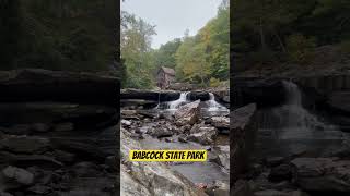 Babcock state park travel wv westvirginia babcockstatepark waterfall [upl. by Garry]