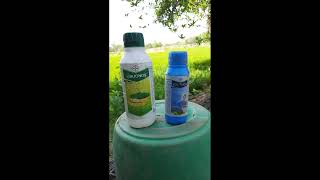 bonus fungicide  Solomon insecticide combination  Tebuconazole  Imidacloprid  betacyfluthrin [upl. by Madison]