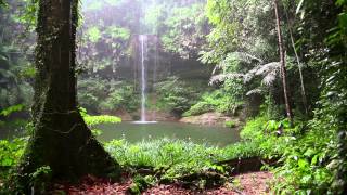 Natur Meditation  Regenwald Sounds und Regen [upl. by Annovad]