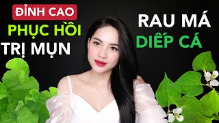 ĐỈNH CAO TRỊ MỤN PHỤC HỒI DA BẰNG RAU MÁ DIẾP CÁ  NGONBỔRẺ GIVE AWAY Ha Linh Official [upl. by Chelton]