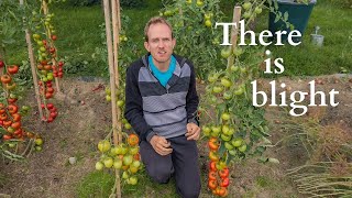 It can be tough in our permaculture garden  Real harvest in the countryside [upl. by Ardnaxela684]