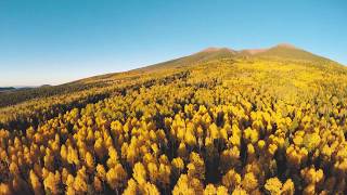 Fall Colors at Arizona Snowbowl [upl. by Cathy]