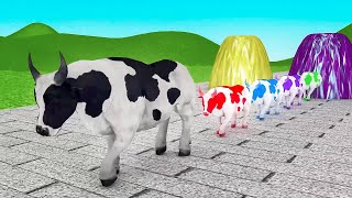 La Vaca Lola  Animales De Granja  La Vaca Lola TV 🐄🐄🐄 [upl. by Rihsab771]