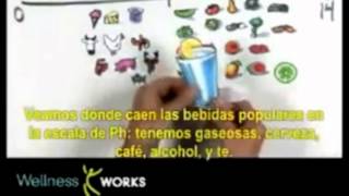 Alimentos ácidos y alcalinos [upl. by Ossie]