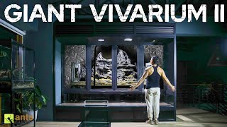 I Built My Next Giant Vivarium II and Its Ready For Life [upl. by Akirdna]