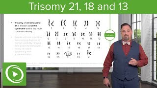 Chromosomal Abnormalities Trisomy 2118 amp 13 – Embryology  Lecturio [upl. by Sseb]