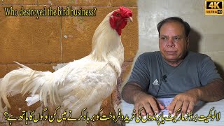 Who are the people who ended the birdloving hobby  پرندوں کے شوق کا خاتمہ کرنے والے ہیں کون؟ [upl. by Jb]