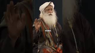 This one joke is enough to give you all the life lessons you need  Sadhguru [upl. by Irma]