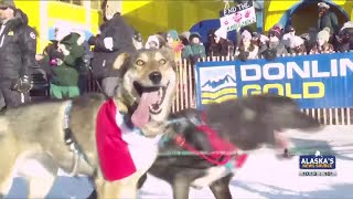 2024 Iditarod Ceremonial Start Celebrates the States Sport [upl. by Danyette]