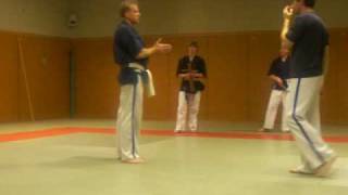 Application de Happoken godan et tonfa happoken série 1 en kenpo et goshinAVI [upl. by Hild]