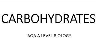 CARBOHYDRATES AQA A LEVEL BIOLOGY  EXAM QUESTIONS RUN THROUGH [upl. by Aicenad]