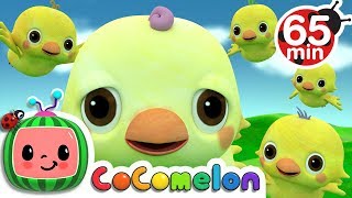 Five Little Birds 2  More Nursery Rhymes amp Kids Songs  CoComelon [upl. by Zasuwa]