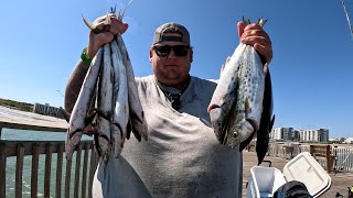 springmaid pier myrtle beach spanish mackerel spring run 4824 [upl. by Sajet17]