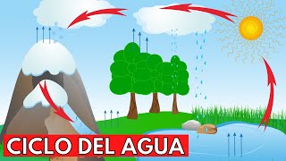 Por qué el agua es una de las cosas más raras del Universo [upl. by Atiluap565]