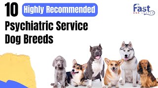 10 Highly Recommended Psychiatric Service Dog Breeds [upl. by Taylor399]