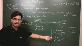 Liverworts detailed description [upl. by Notyal]