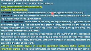 Somatosensory cortex and somatosensory association area [upl. by Suanne532]