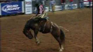 Saddle Bronc Riding  HRS Rodeo [upl. by Khosrow]