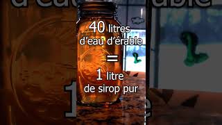 Comment faiton du sirop dérable Technique artisanale présentée en 43 secondes [upl. by Blalock442]