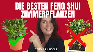 Die besten Zimmerpflanzen im Feng Shui  steigere deinen Reichtum und vermeide diese 2 [upl. by Hinckley]