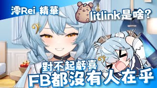 【Rei精華】litlink？FB？根本都沒人在乎TT 每週更新的Rei 根本就是小丑 Rei 看這狸 霓NEOn 霓NEOnFB 子午計畫 [upl. by Anaugahs215]