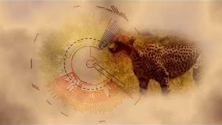 Best Documentaries  The Evolution of Mammals Part 1  Meet the Synapsids [upl. by Valenba992]