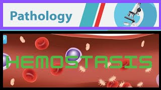 41 HEMOSTASIS [upl. by Ilarrold355]