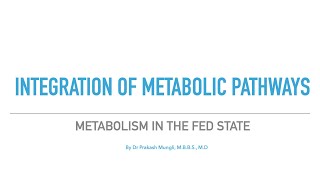 Integration of MetabolismMetabolism in the Fed Stateintegration of Metabolic Pathways [upl. by Alinna]