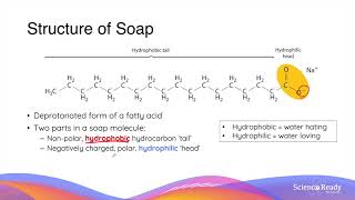 What is Saponification Structure and Action of Soaps and Detergents  HSC Chemistry [upl. by Dorehs]