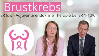 Brustkrebs Antihormontherapie  Adjuvante endokrine Therapie bei ER 110 [upl. by Analihp]