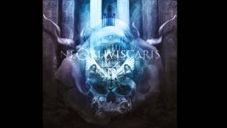 Ne Obliviscaris  Painters of the Tempest Part II Triptych Lux [upl. by Kreg306]