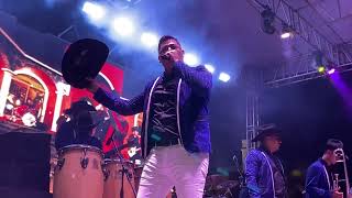 Torbellinos De NayaritDesde Compostela En vivo 🎸🎺🎷🪘🪘🕺🏻💃🏻 🎼🔥 [upl. by Hurlee]