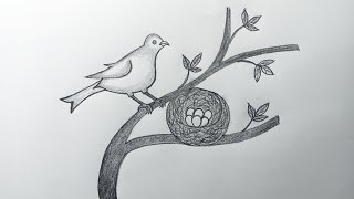 How to draw a beautiful bird  Easy bird nest drawing for beginner  Draw bird nest with eggs [upl. by Aluap]