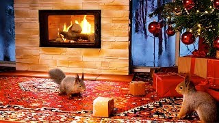 Christmas With Squirrels amp Relaxing Christmas Music  1 Hour [upl. by Liddy92]