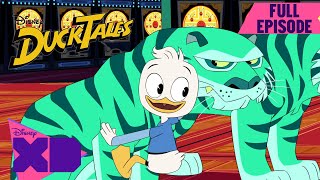 The House of the Lucky Gander  S1 E6  Full Episode  DuckTales  disneyxd [upl. by Ikey]