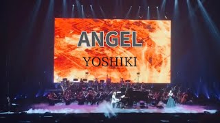 Yoshiki Classical 10th Anniversary World Tour with Orchestra 2023 quotREQUIEMquot 108 ANGEL [upl. by Kallman]