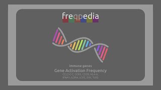 All Immune Genes Activation Frequency [upl. by Shue673]