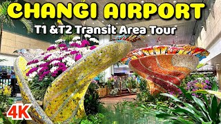 Worlds Best Changi Airport Exploring Terminal 1 amp 2 Transit Areas [upl. by Sllew]