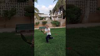 Broadsword training katana sword slashes by Swordsmaster viral video shorts trendingvideo [upl. by Alenoel]